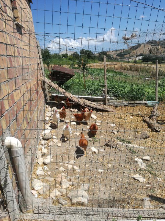 B&B Pozzo Innamorato Montenero di Bisaccia Exterior foto