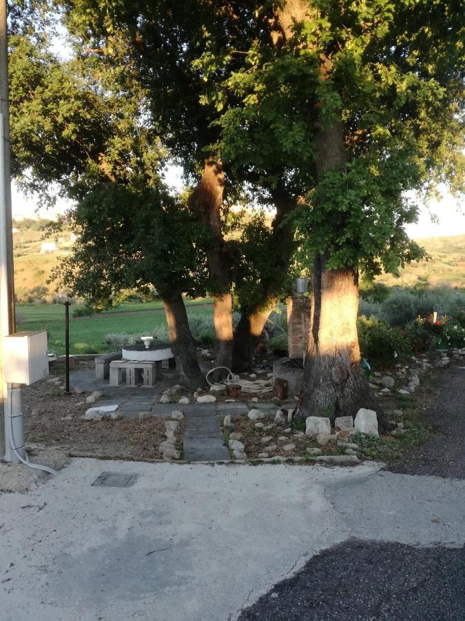 B&B Pozzo Innamorato Montenero di Bisaccia Exterior foto