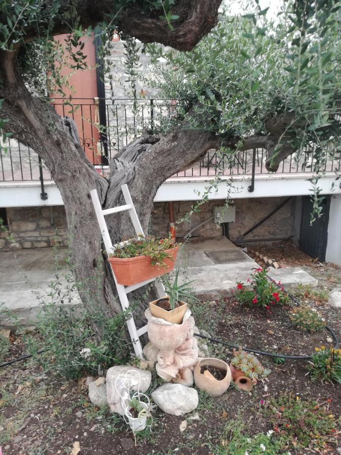 B&B Pozzo Innamorato Montenero di Bisaccia Exterior foto